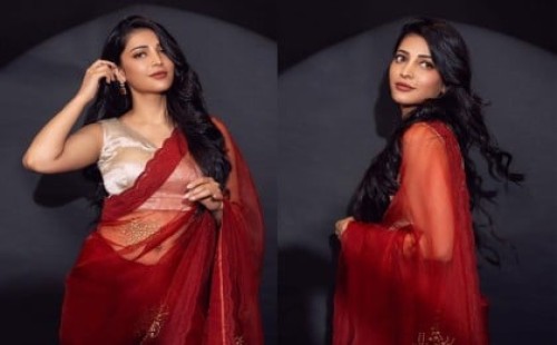 চার বছরের প্রেম ভাঙল শ্রুতির 