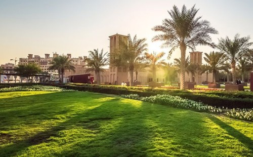 সদ্য ভূমিষ্ঠ সব শিশুর নামে একটি করে গাছ লাগাবে সৌদির হাসপাতাল 