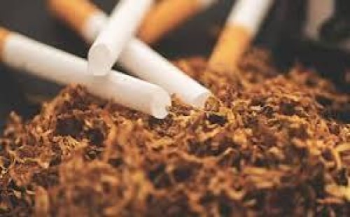 চলতি মেয়াদেই তামাক নিয়ন্ত্রণ আইন সংশোধন 