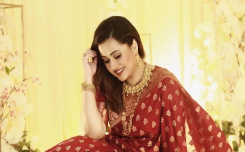 সেন্সর বোর্ডে স্থান পেলেন পূর্ণিমা 