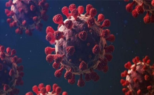 করোনায় একজনের মৃত্যু, শনাক্ত ১১ 