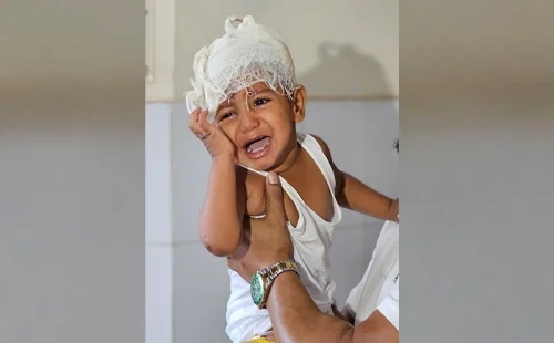 হৃদয় নাড়িয়ে দেয়া জায়েদ পেল নতুন ঠিকানা 