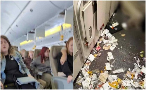 মাঝ-আকাশে কী ঘটেছে সিঙ্গাপুর এয়ারলাইন্সের ফ্লাইটে? 