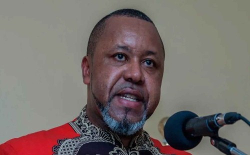 বিমান বিধ্বস্তে মালাউইয়ের ভাইস প্রেসিডেন্ট নিহত 