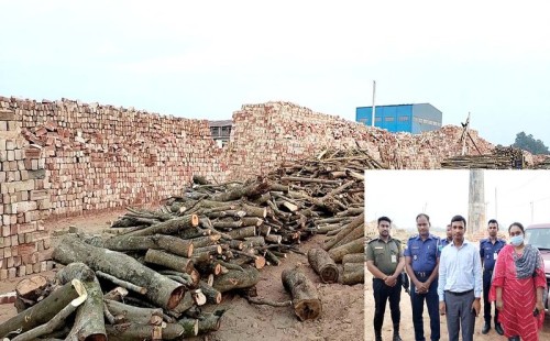 টাঙ্গাইলে কয়লার বদলে পোড়ানো হচ্ছিল লাকড়ি, ইটভাটা বন্ধসহ জরিমানা 