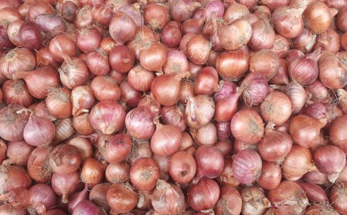সপ্তাহের ব্যবধানে পেঁয়াজের দাম বাড়ল কেজিতে ৩০ টাকা 