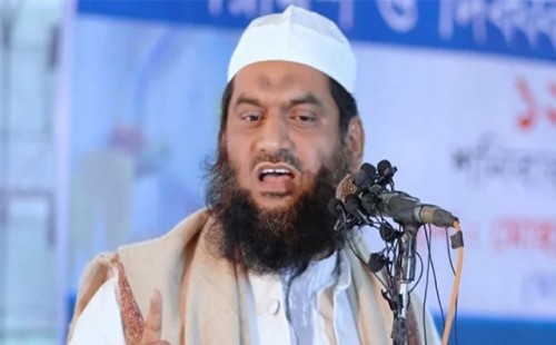 আওয়ামী লীগ রাতে কালনাগিনী, দিনের বেলায় ওঝা: মামুনুল হক 