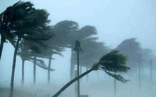 ১০ জেলায় ঝড়ের পূর্বাভাস 