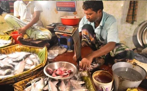 রাজশাহীতে টুকরো ইলিশও নাগালের বাইরে 