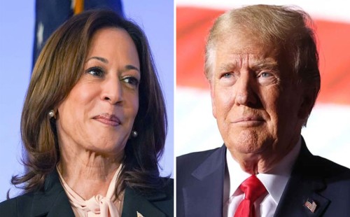 নিউইয়র্কে কমলার জয়, টেক্সাসে বিজয়ী ট্রাম্প 