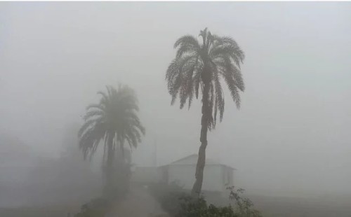 শুক্রবার থেকে বাড়বে কুয়াশা 