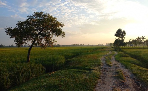 ১০ ডিগ্রিতে নামলো পঞ্চগড়ের তাপমাত্রা 