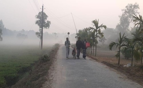 তাপমাত্রা বাড়লেও পঞ্চগড়ে কনকনে শীতের দাপট 