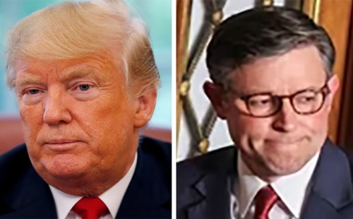 দু’দফা ভোটের পর স্পিকার পদে জয়ী ট্রাম্পের প্রার্থী 