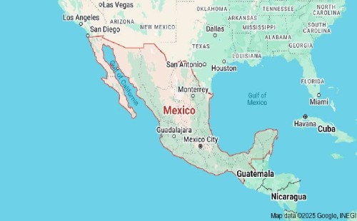 মেক্সিকোতে নিরাপত্তা বাহিনীর গুলিতে নিহত ৮ 