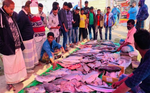 নোয়াখালীতে এক দিনের মেলায় ৭০ মণ মাছ বিক্রি 