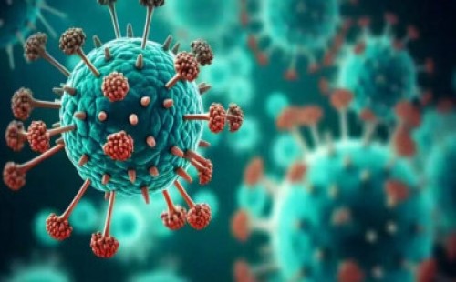 এইচএমপিভি ভাইরাসে আক্রান্ত নারীর মৃত্যু 