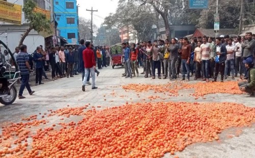 নাটোর মহাসড়কে টমেটো ফেলে কৃষকদের প্রতিবাদ 