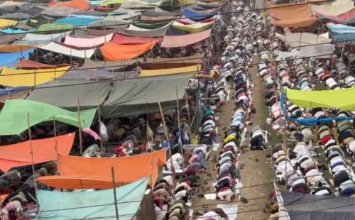 বিশ্ব ইজতেমায় ৩ মুসল্লির মৃত্যু 