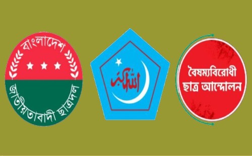 বৈষম্যবিরোধী এবং শিবিরের মধ্যে মতপার্থক্য 