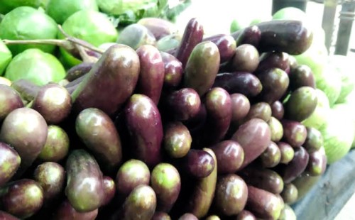 প্রথম রোজাতেই বেগুনের সেঞ্চুরি 