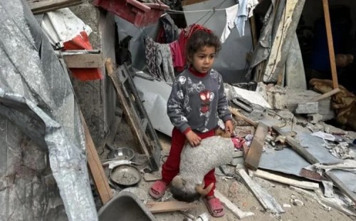 গাজায় নিহত ৪১৩ 