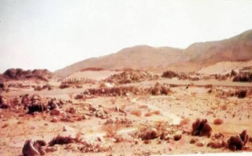 বদর যুদ্ধের ইতিহাস ও গুরুত্ব 