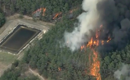 দাবানল ছড়িয়ে পড়েছে নিউ জার্সিতে 
