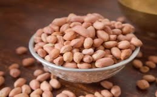 চিনা বাদাম খেলে কী হয়? জেনে নিন উপকার ও সতর্কতা 