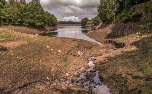 ইংল্যান্ডে খরা নিয়ে শঙ্কা 