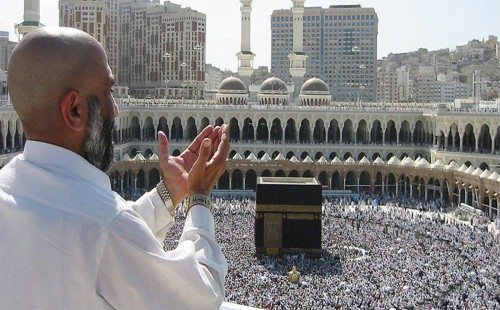 সৌদিতে ৪৯ হাজারের বেশি হজযাত্রী, মৃতের সংখ্যা বেড়ে ৮ 