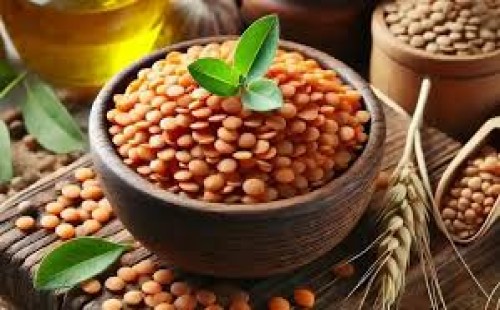 কিডনির স্বাস্থ্য রক্ষায় মসুর ডালের কার্যকারিতা 