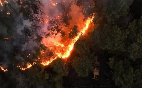 সিরিয়ায় বড় দাবানল 