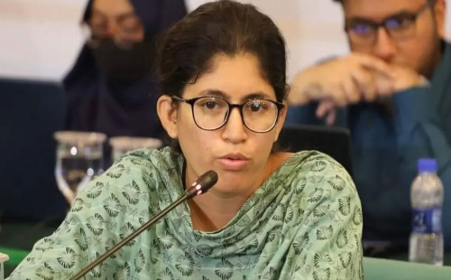 জুলাই কেন ‘মানি-মেকিং মেশিন’ হবে : উমামা ফাতেমা 