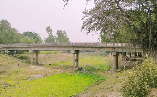 গাজীপুরে ব্রিজের নিচে মিলল নারীর লাশ 