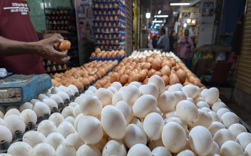 ডিমের ডজন ১৫০, কেন বাড়ছে দাম? 