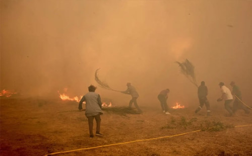 স্পেনে ৩০ হাজার হেক্টর জমি পুড়ে গেছে 