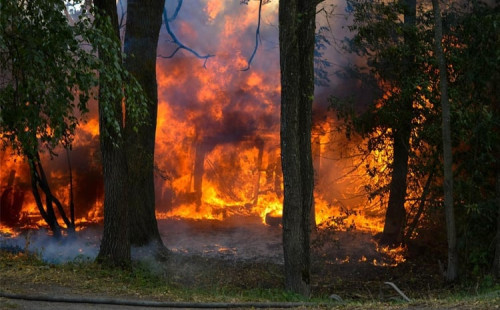 স্পেনে তাপপ্রবাহে ১১শ’ মৃত্যু 