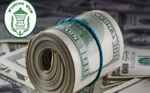 ২৩ দিনে প্রবাসী আয় ছাড়াল ৩৩ হাজার ৫৩৩ কোটি টাকা 