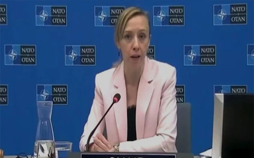 ড্রোন মোকাবিলায় ন্যাটোর সাহায্য 