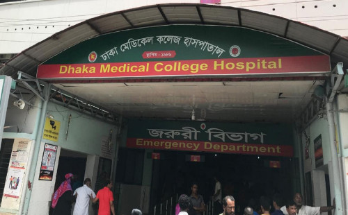 একসঙ্গে ৬ সন্তানের জন্ম, নিহত ৪ শিশু 