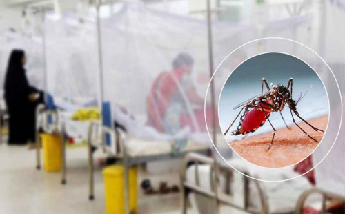 ডেঙ্গুতে একদিনে রেকর্ড ১২ জনের মৃত্যু, আক্রান্ত ৭৪০ 