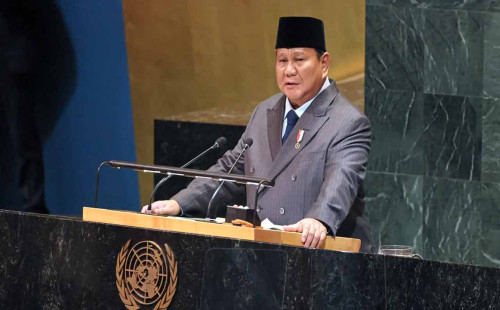 গাজায় শান্তিরক্ষী পাঠাতে প্রস্তুত ইন্দোনেশিয়া 