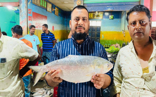 নোয়াখালীতে ৮০টি ইলিশ বিক্রি হলো দুই লাখ ১৩ হাজার টাকায় 