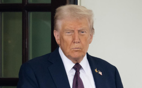 ট্রাম্পের গাজা পরিকল্পনায় মুসলিম রাষ্ট্রগুলোর সমর্থন 