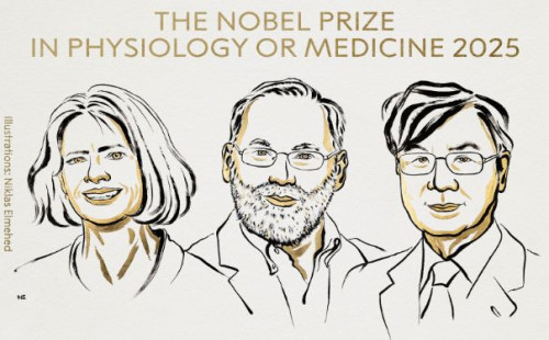 চিকিৎসায় নোবেল যুক্তরাষ্ট্র ও জাপানের তিন বিজ্ঞানীর 