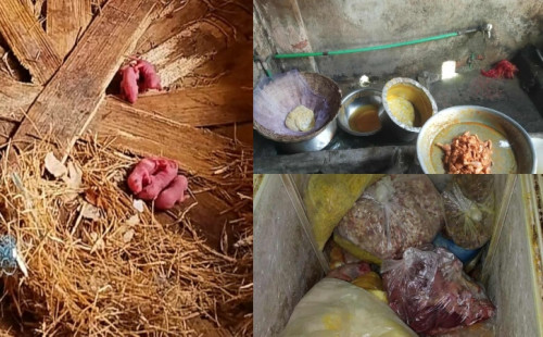 গবি  ক্যান্টিনে ইঁদুর-মাকড়সায় ভরা রান্নাঘর, বাসি ভাতে শিক্ষার্থীর খাবার 