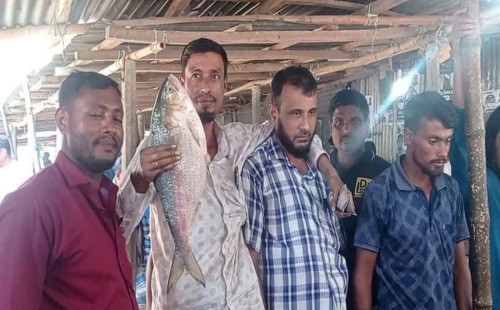 লক্ষ্মীপুরে আড়াই কেজির এক ইলিশ ৯২০০ টাকায় বিক্রি 