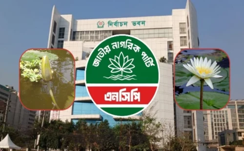 ‘শাপলা কলি’ নয়, শাপলাই চায় এনসিপি 