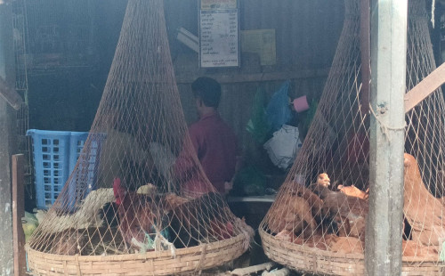 কমেছে মুরগির দাম, গরু ও খাসির মাংসের দাম অপরিবর্তিত 